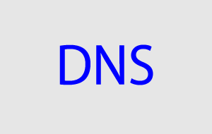 DNS（ディーエヌエス）